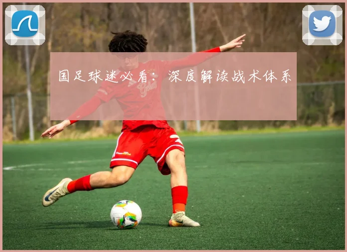 国足球迷必看:深度解读战术体系