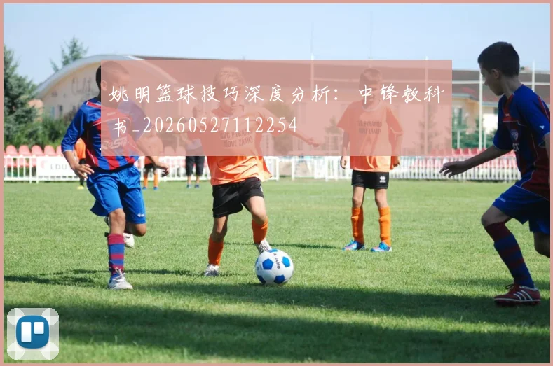 姚明篮球技巧深度分析：中锋教科书_20260527112254