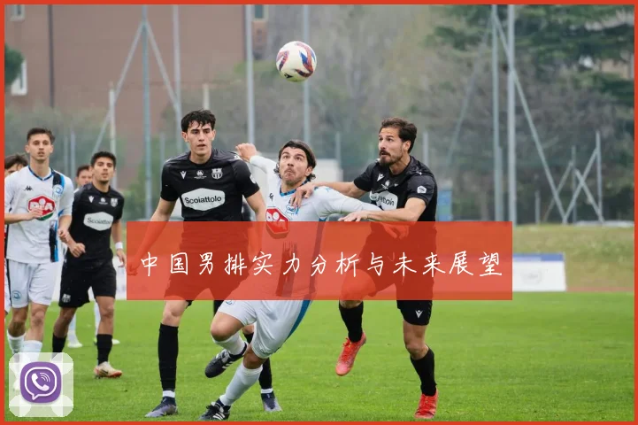中国男排实力分析与未来展望