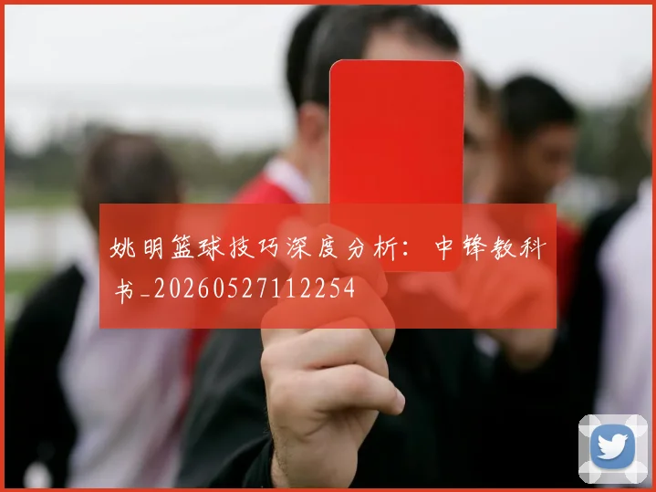 姚明篮球技巧深度分析：中锋教科书_20260527112254