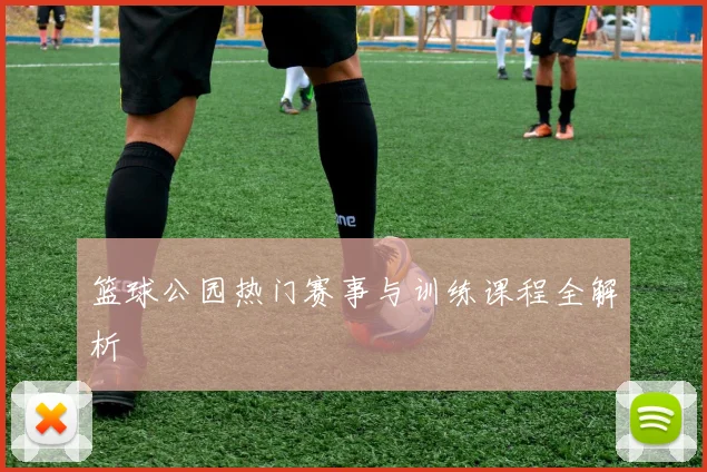 篮球公园热门赛事与训练课程全解析
